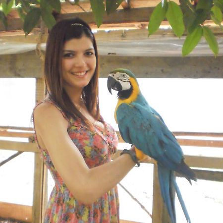 Amazon Rainforest Lodge Padre Cocha المظهر الخارجي الصورة