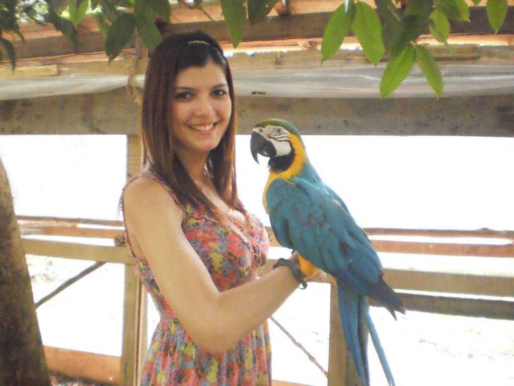 Amazon Rainforest Lodge Padre Cocha المظهر الخارجي الصورة